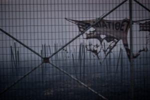 Έβρος: Αναλυτικά τα μέτρα στήριξης για τους πυρόπληκτους