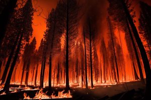 Meteo: Έχουν ομοιότητες οι φονικές πυρκαγιές στη Χαβάη και το Μάτι