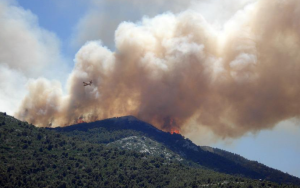 Τρομάζει ο ΧΑΡΤΗΣ με τις καμμένες εκτάσεις στον Έβρο! Πάνω από 900χιλ. στρέμματα…