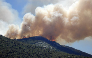 «Να καις προληπτικά το δάσος τον χειμώνα»!! Δεν πίστευαν αυτό που άκουσαν, vid