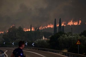 Κόλαση φωτιάς στη Λαμία: Νέο μήνυμα από το 112 – Εκκενώνονται Νέα Μαγνησία, Μεγάλη Βρύση και Αγία Παρασκευή (video)