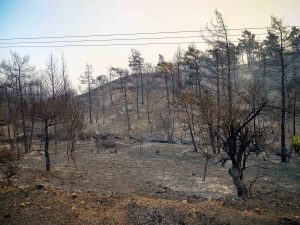 Υπουργείο Εργασίας: Τα μέτρα για τους πολίτες και τις επιχειρήσεις που επλήγησαν από τις πυρκαγιές