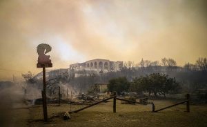 Συνολάκης: Έχουν καεί 500.000 στρέμματα. Ναι, είναι τραγικό, αλλά…
