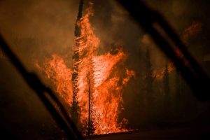 Ο χάρτης πρόβλεψης κινδύνου πυρκαγιάς για σήμερα Τετάρτη