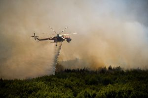 Πυροσβεστική: 44 πυρκαγιές εκδηλώθηκαν το τελευταίο 24ωρο