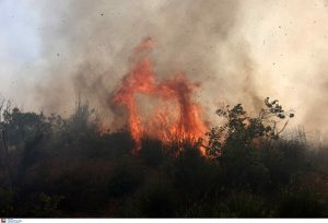 Νέα φωτιά στην Εύβοια – Πύρινο μέτωπο στο χωριό Κοντοδεσπότι