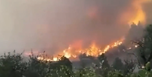 Ισπανία: Δασική πυρκαγιά στο νησί της Λα Πάλμα οδήγησε σε απομάκρυνση 500 κατοίκων