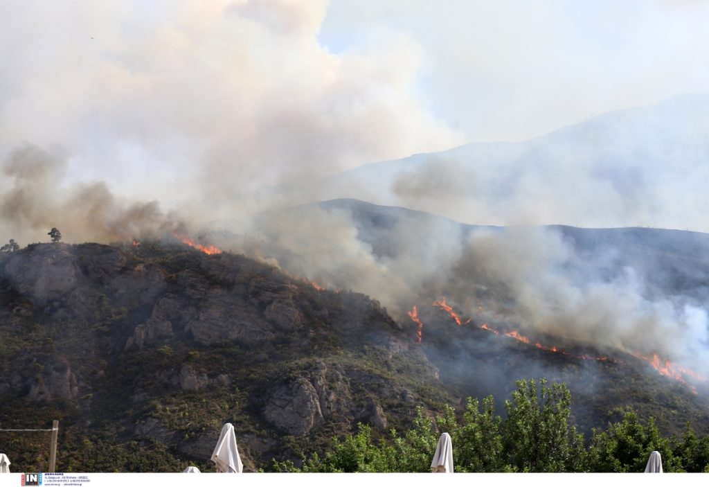 Αίγιο: Φωτιά σε αγροτοδασική έκταση στην περιοχή Νεραντζιές