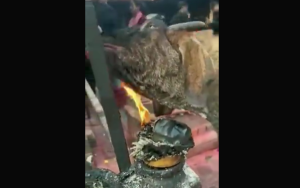 Η γίδα που της αρέσει να καίγεται – Δεν υπάρχει το ΒΙΝΤΕΟ