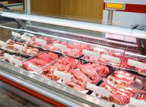 Ζούμε σε μία παράνοια!! Δείτε τι κάνουν vegan διαδηλωτές, vid