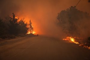 Ολονύχτια μάχη με τις αναζωπυρώσεις σε Αττική και Βοιωτία – Νέα μηνύματα 112, vid