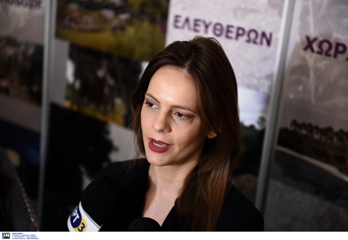 Αχτσιόγλου: Ο φράχτης στον Έβρο δεν έχει απαντήσει στο πρόβλημα του μεταναστευτικού, vid