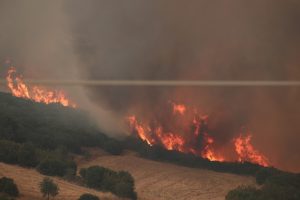 «Πάνω από 100εκατ. ευρώ το δημοσιονομικό κόστος αποκατάστασης του Έβρου»