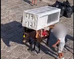 Ύδρα: Φόρτωσαν ψυγείο σε γαϊδουράκι!!! vid