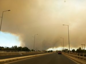 Φωτιές στον Έβρο και μετανάστες στο ίδιο πλάνο! Περαστικά μας!! – vid