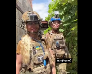 Ο πόλεμος του TikTok, vid