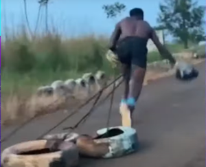 Χρησιμοποιεί απίστευτες μεθόδους προπόνησης! Είναι από το Καμερούν και το όνειρο του είναι να παίξει στο ΝΒΑ (video)