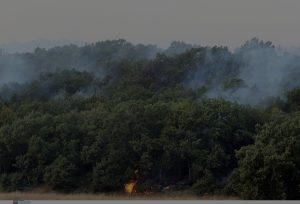 Θεσσαλονίκη: Υπό έλεγχο φωτιά στο Σέιχ Σου – Προσήχθη ύποπτος για εμπρησμό