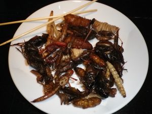 Τώρα δίνουν και γκουρμέ συνταγές με έντομα! Ταραντούλα με μοβ πουρέ πατάτας και Γουακαμόλε μαύρα μυρμήγκια