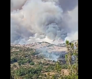 Πρωινά πλάνα από το μέτωπο στον Έβρο: Σε πεδίο βολής μεγάλη εστία φωτιάς, vid