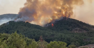 Μεγάλη αναζωπύρωση τώρα στο μέτωπο του Έβρου, vid