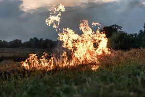 Μυτιλήνη: Ανεξέλεγκτη φωτιά καίει ελαιώνες στην περιοχή της Μόριας