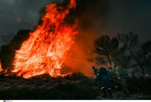 Αναζωπυρώσεις σε Έβρο και Ροδόπη – Συνολικά οι πυροσβεστικές δυνάμεις αντιμετωπίζουν 74 πυρκαγιές σε όλη τη χώρα 