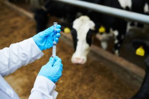 MRNA εμβόλια στο…πιάτο μας μέσω των ζώων;; Τρομακτικός ισχυρισμός, vid