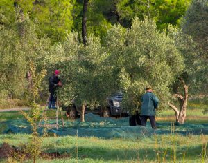 ΥπΑΑΤ: Έγκριση της Επιχειρησιακής Συλλογικής Σύμβασης Εργασίας για τους υπαλλήλους του ΕΛΓΑ