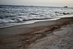 Μεξικό: Πετρέλαιο που διέρρευσε στον Κόλπο έφθασε σε παραλίες 