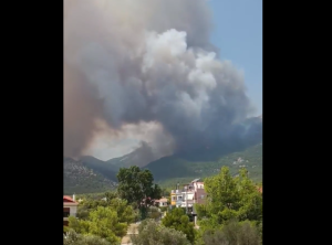 Στον Εθνικό Δρυμό της Πάρνηθας περνάνε οι φλόγες! Καίγεται ό,τι γλίτωσε το 2007, vid