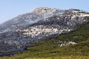 Το…θαυματουργό τζελ που δημιούργησαν φοιτητές του ΑΠΘ και που θα δίνει ζωή σε καμένες εκτάσεις!