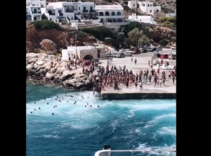 Βουτιές στα…απόνερα πλοίου, vid