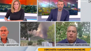 Στυλιανίδης για καταγγελίες εμπρησμού του Έβρου από αλλοδαπούς: «Δεν είναι τυχαίο…», vid