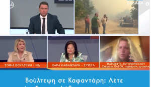 Βούλτεψη κατά Καφαντάρη: «Μετατρέψατε τον εμπρησμό σε πλημμέλημα», vid