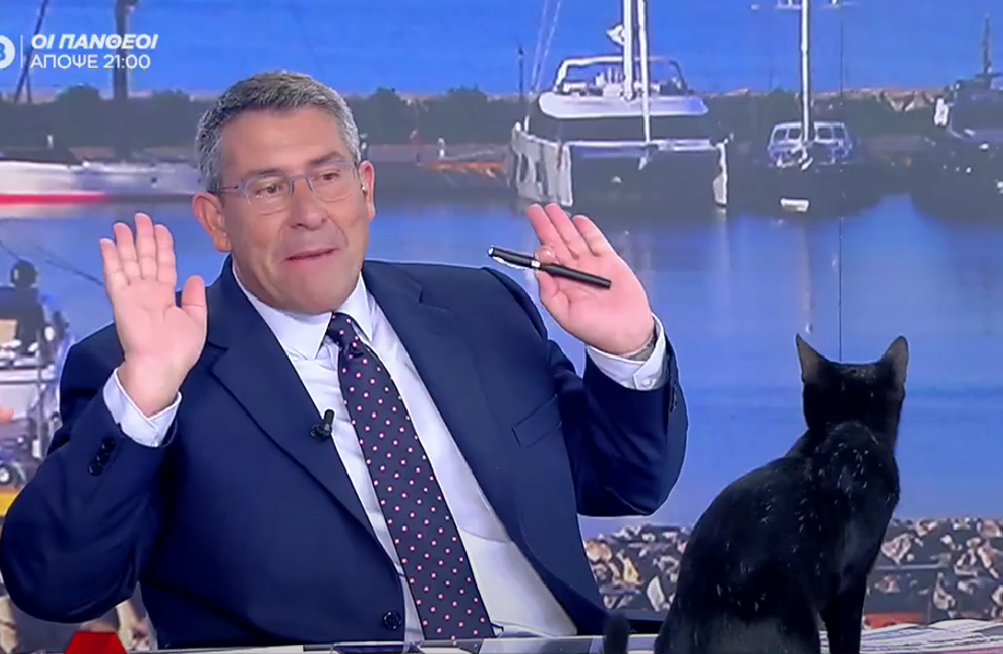 «Γιατί σε μένα;;»: Μαύρη γάτα εισέβαλε στον «αέρα» και έγινε χαμός, vid
