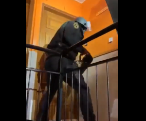 Όργανα χούντας εν δράσει, vid