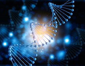 Επισκευή DNA: Ξετυλίγοντας το μυστήριο