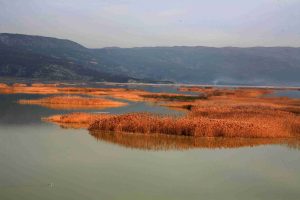 Σε εξέλιξη επιχείρηση εντοπισμού ενός άνδρα στη Λίμνη Κάρλα