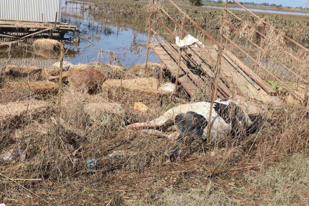 Θεσσαλία: Συνεχίζεται η αποκατάσταση των ζημιών του Daniel- Επιταχύνεται η έκδοση αδειών επισκευής κτιρίων