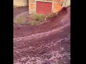 Έχετε ξαναδεί ποτέ πλημμύρα από…κρασί;; – vid