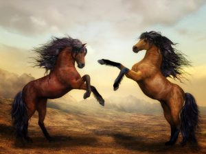 Αυστραλία: Σχεδιάζεται μαζική εκτέλεση από αέρος άγριων αλόγων και χαρακτηρίζεται ως “απαραίτητη”