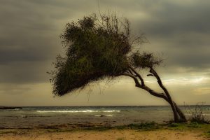 Ισχυρή νεροποντή στο Μιλάνο – Γυναίκα καταπλακώθηκε από δέντρο και σκοτώθηκε