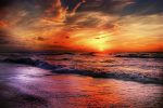 paralia