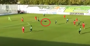 Ακόμα ένας ποδοσφαιριστής κατέρρευσε και πέθανε!!! Συγκλονιστικό ΒΙΝΤΕΟ με τους συμπαίκτες του