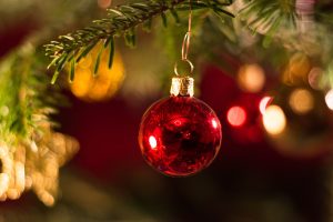 Χαλκιδική: Ικανοποιημένοι από τις πωλήσεις χριστουγεννιάτικων ελάτων οι παραγωγοί – Ίσως «σπάσουν» το ρεκόρ πωλήσεων του 2021
