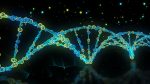 dna