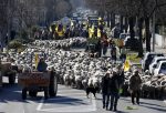 Farmers protest in southern of France