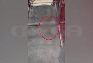 Πιτσαδόρος στην Ελλάδα γέμισε με… περιττώματα πολυκατοικία! Αποτροπιαστικό ΒΙΝΤΕΟ