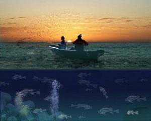 Άγιο Όρος: Εντοπίστηκε σορός άνδρα στη θαλάσσια περιοχή στο ακρωτήρι Αράπη